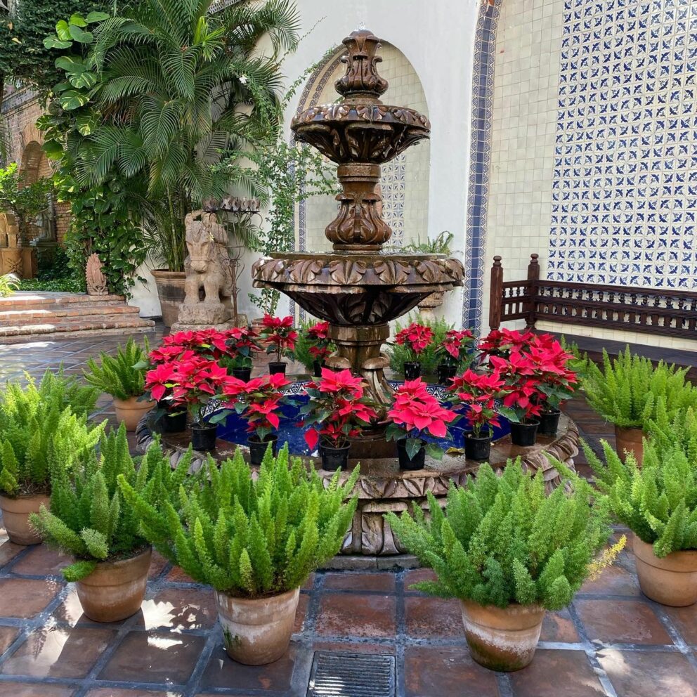 Reservation Policy shows where guests first arrive in the courtyard of Hacienda San Angel with the fountain surrounded by holiday poinsettias.