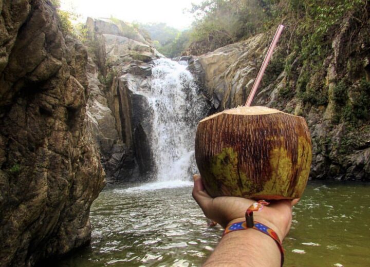Man holding up a fresh coconut with a straw, set against a backdrop of a cascading waterfall.